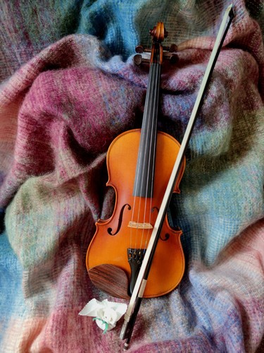 Geige violine set - geige,