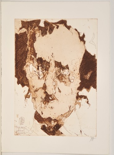 Horst janssen edgar allen - janssen,