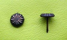 100 Polsternägel, Ziernägel