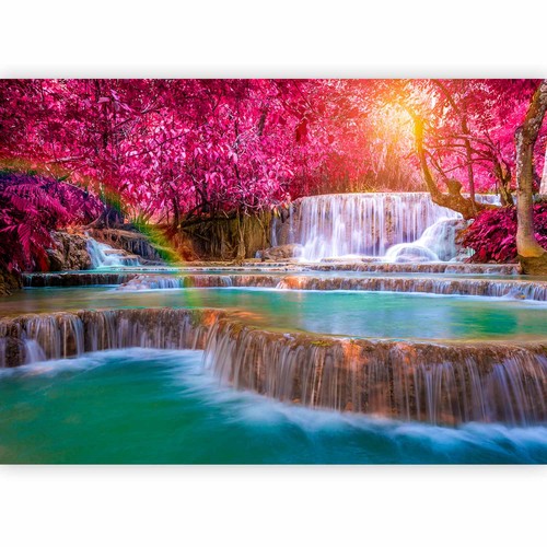 Natur wasserfall wald - natur,