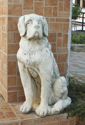 Hund hunde tiere tier - (s180),