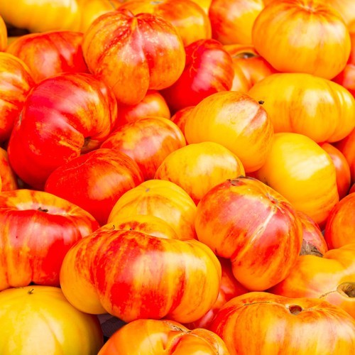 Tomatensamen - , (7+
