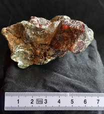 ? Großer  GRANAT / Almandin in Glimmerschiefer Österreich  Zillertal 