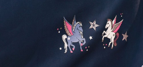 Imperial riding mini pony - riding,