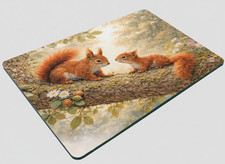 Rotes eichhörnchen erwachsene - rotes,