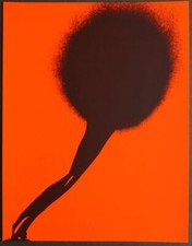 Otto Piene  " JUPITER & JO "