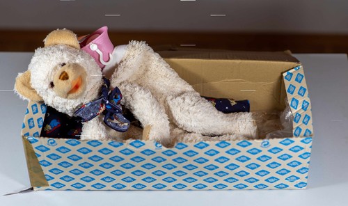 Teddybär mit wärmeflasche - teddybär,