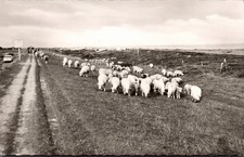 AK Campingplatz Lenste an der