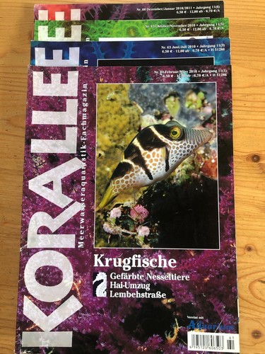 Koralle meerwasseraquaristik - koralle, 4