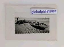 Foto Spitfire Abgestürzt