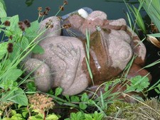 Wasserspeier Frosch Faul liegend auf Blatt aus Kunst Sandstein Antik Look F 06