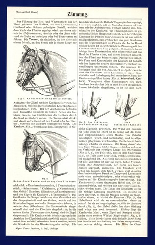 Artikel zaumzeug anno 1897 - artikel,