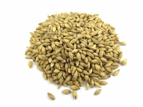 1kg abbey malt - 1kg,