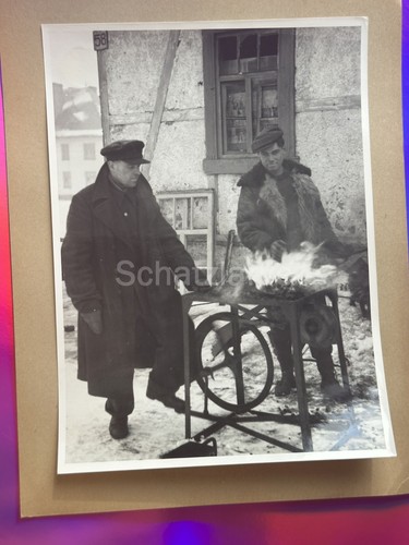 Groß foto nl - foto,