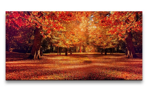 120x60cm leinwandbild herbst - 120x60cm,