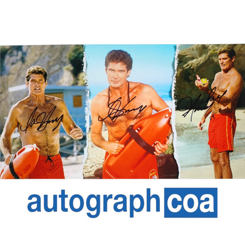 David hasselhoff baywatch - hasselhoff,