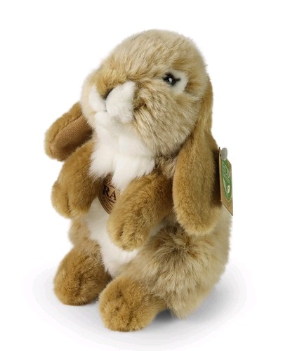Kaninchen hase schlappohren - kaninchen,