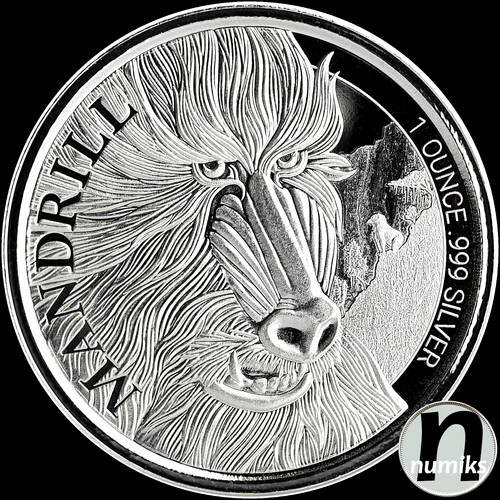 Mandrill kamerun 2020 1 - 1, oz