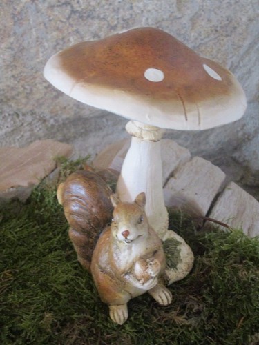 Eichhörnchen sitzend auf pilz - sitzend,