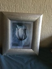 Gerahmter druck tulpe 201 - tulpe,
