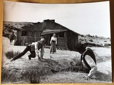 Italo Western Peter Lee