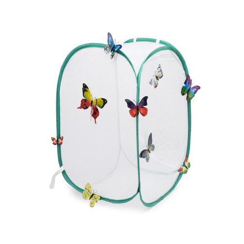 Insekten schmetterling käfig - insekten,