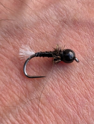 Stillwater zebra midge - x,