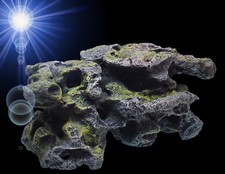 TOP Aquarium Deko 🍀