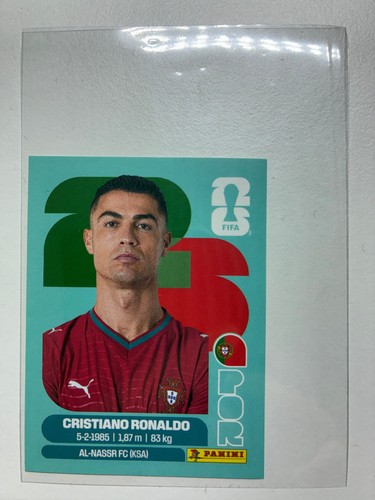 Offizieller panini fifa - offizieller, wm