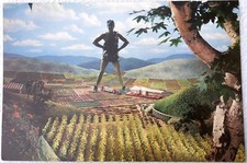 Original 1963 Jolly Green