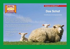 Kamishibai: Das Schaf | 10