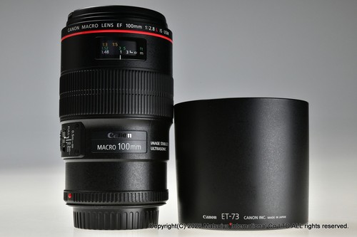 Canon 100mm 8l macro - f/2.8l, is