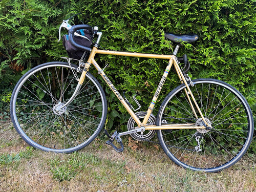 Bianchi rennrad beige mit - bianchi,