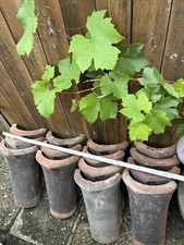 Firstziegel Haus Antik Dach Alte Ziegel Vintage Rarität Dekoration Unbeschiftet