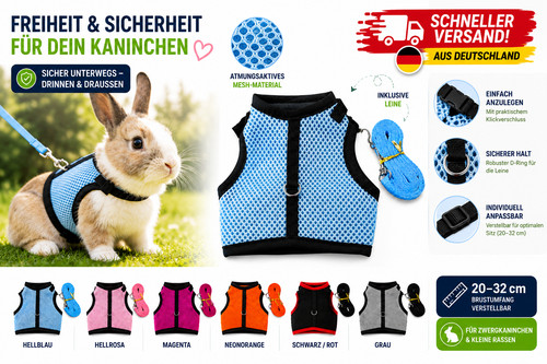 Zwergkaninchen geschirr mit - zwergkaninchen,