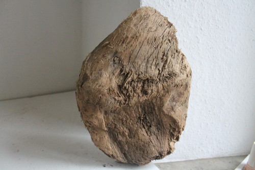 Schwemmholz treibholz - schwemmholz,