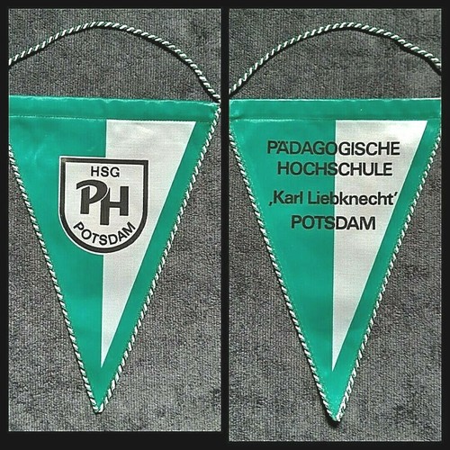 Orig ddr wimpel hsg - orig.,