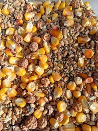 Partikel mix - partikel,