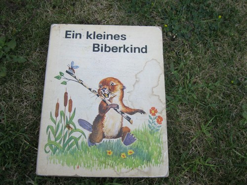 Pappbilderbuch ein kleines - pappbilderbuch,