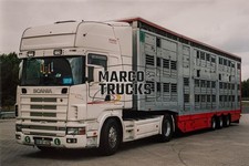 LKW Foto Scania 164L 480 Viehtransporter Deutschland weiß PESPED, tel. (pr #a9bh