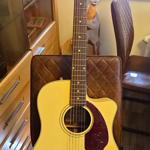Fender westerngitarre sonoran - fender,