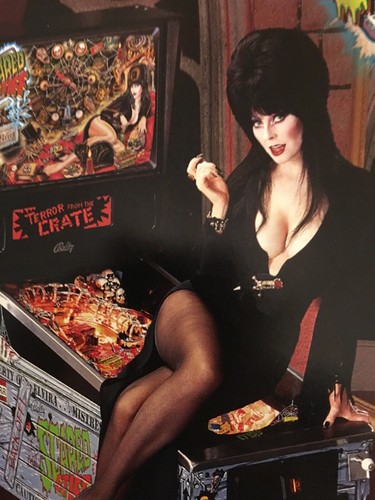 Elvira scared stiff brochure - "scared,