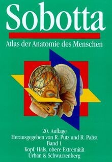 Atlas der anatomie des - atlas,