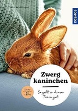 Zwergkaninchen: So geht es