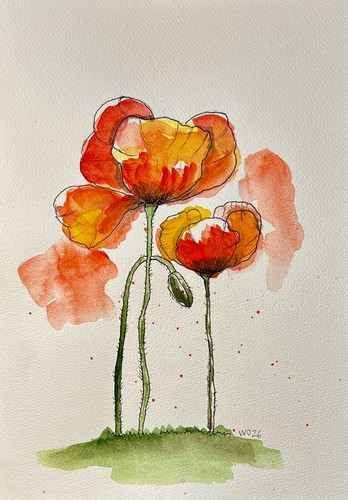 Original aquarell mohnblumen - original,