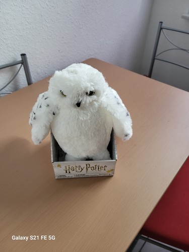 Eule von harry potter - harry,