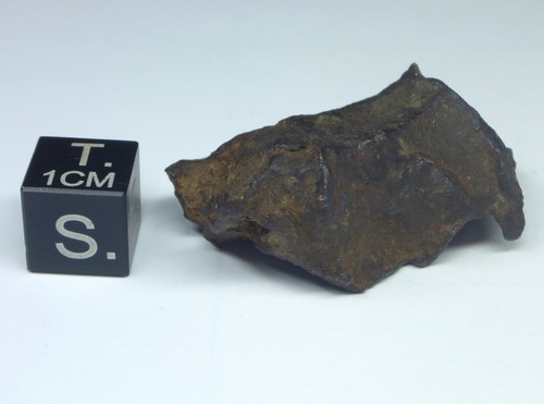 Whitecourt eisenmeteorit - whitecourt,