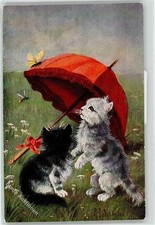 51741675 - Regenschirm Katze