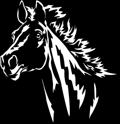 Aufkleber pferd pferdekopf - pferd,