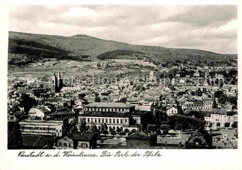 Neustadt weinstrasse panorama - weinstrasse,